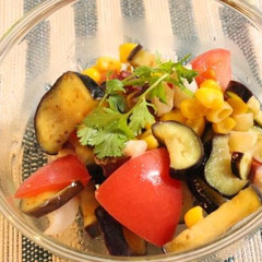 たこと夏野菜のさわやかマリネ