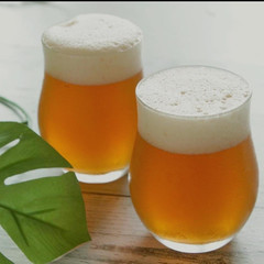 ビールみたいなりんごゼリー