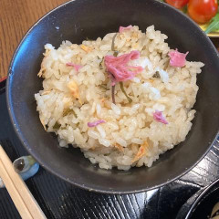 桜ごはん