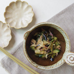簡単！夏の常備菜「柴漬け（しばづけ）」