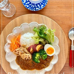 身体に優しいスパイスカレー