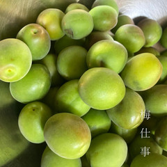 自家製青梅シロップ