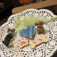 わんちゃん用アイシングクッキーを作ろう！