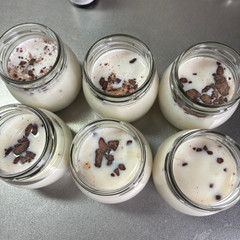 大人のチョコミントアイス