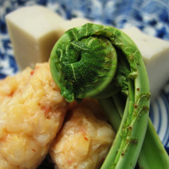 `食`の講座　ＦＬＵＳＨ
