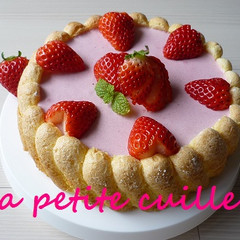 la petite cuillère