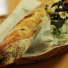 ＢｒｅａｄＳｃｈｏｏｌパンの木
