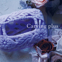 Carving plus カービングプラス