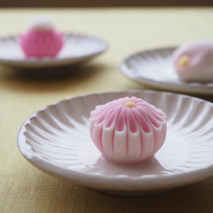 和菓子Labo一陽