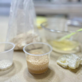 予備発酵中