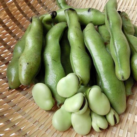 そら豆は、炊き込みご飯に