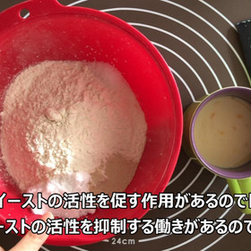 実際の動画のスクリーンショットです。