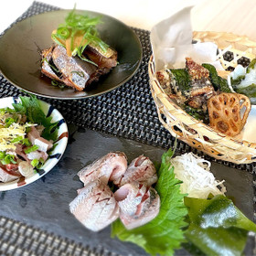 お刺身、塩なめろう
ポン酢煮
竜田揚げ
