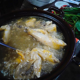 ほろほろに鶏肉を煮込みます 