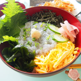 生しらす丼