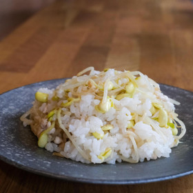 シャキシャキ豆もやしごはん