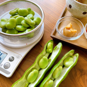 旬のそら豆で仕込みます。