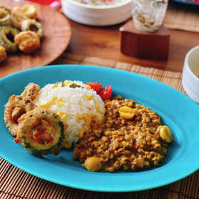 胃に優しい♡スパイスから作る『緑豆キーマカレー』