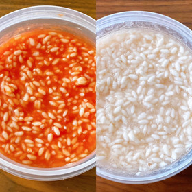 うま味たっぷり！玉ねぎ麹とトマト麹