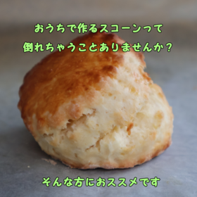 レッスンでは、直径６㎝の丸型セルクルを使用します。