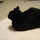 くろねこ