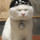 アーチャム