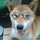 ☆じゅんこ 角☆