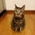 yuko
