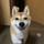 ほのか