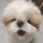 マカロン