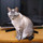 yuko