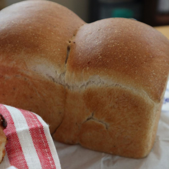 中々出ない！！単発募集：ホップス種食パン