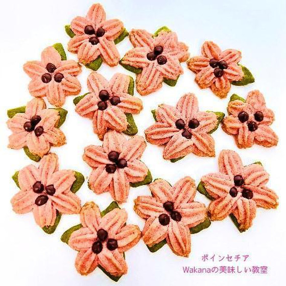 ポインセチア（絞り出しクッキー）