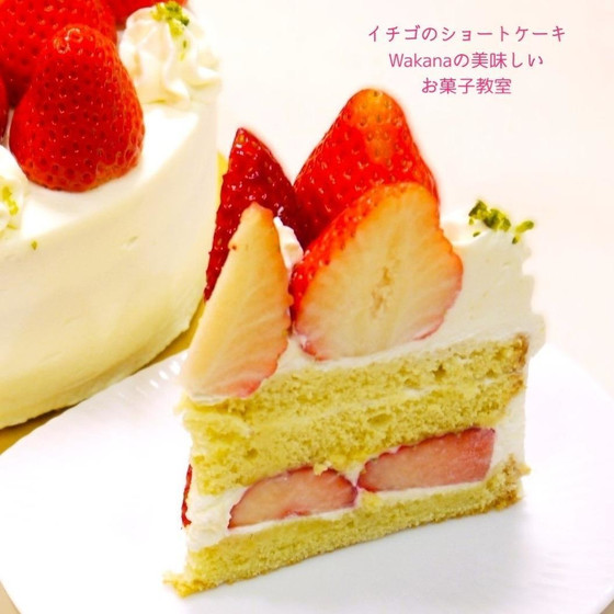 断面はこんな感じです。