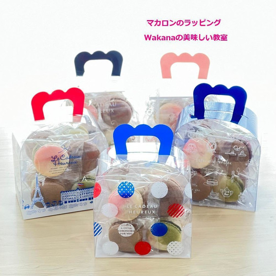 このようなクリアケースに入れてお持ち帰り頂きます。
