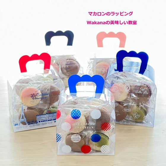 このようなクリアケースに入れてお持ち帰り頂きます。