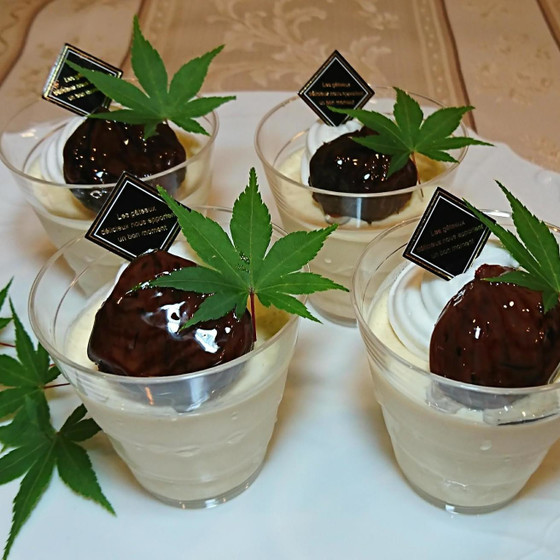 　天使からの贈り物　マロンのヴェリーヌ