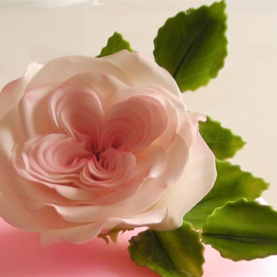 シュガーフラワーのお花作り