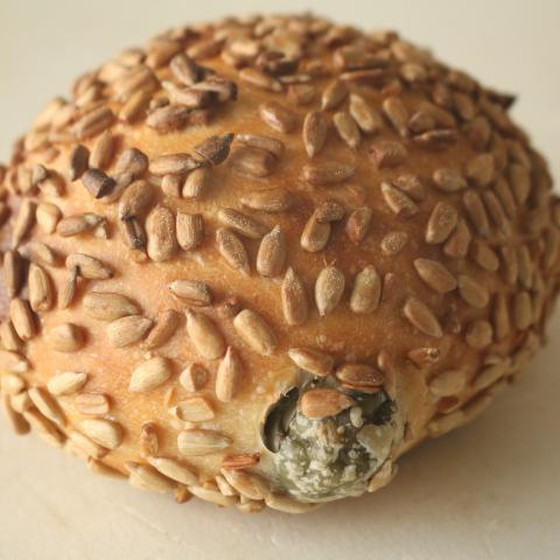 生地の周りには、ひまわりの種をたっぷりつけます