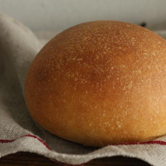 基本のレッスン<全６回>美味しさの基本をマスターします