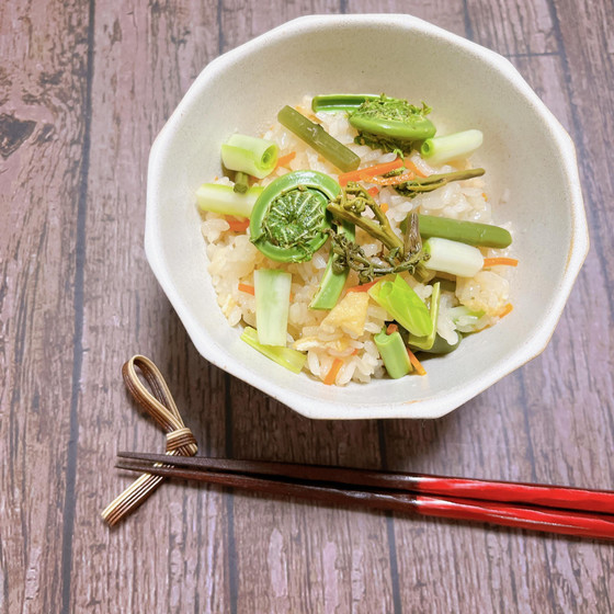 4月 季節の料理 コース  