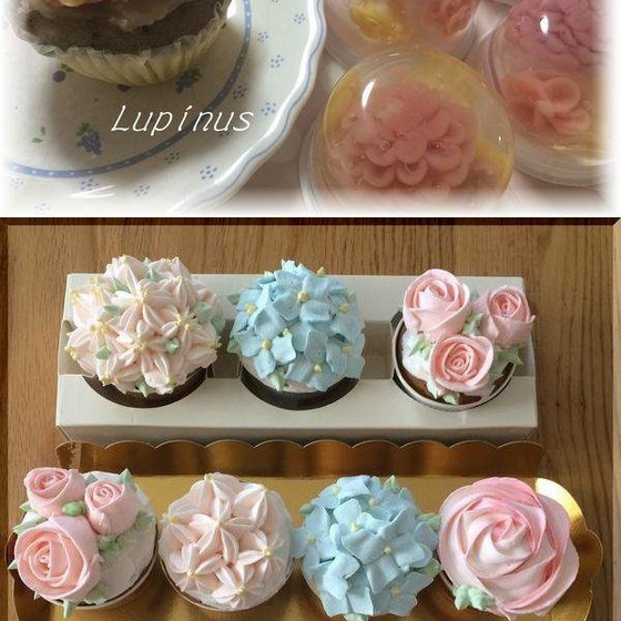 １ｄａｙ　Lupinus　lesson