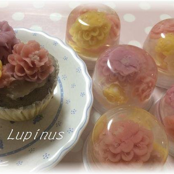 １ｄａｙ　Lupinus　lesson