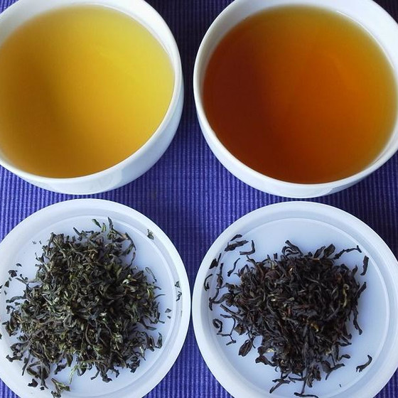 紅茶塾・研究会