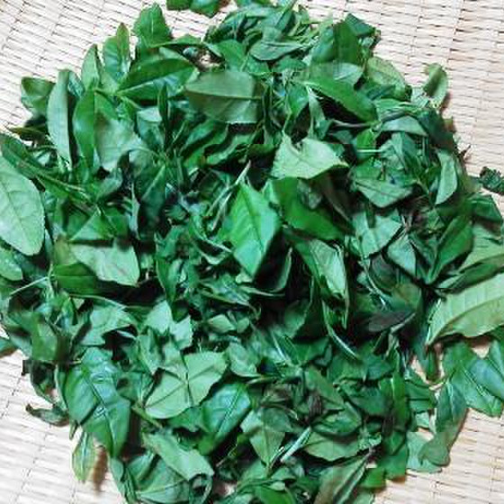 紅茶塾・研究会