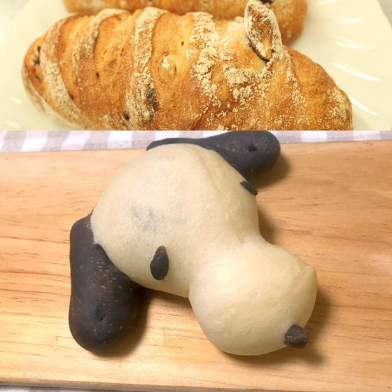 スヌーピチョコパンといちじくクルミのハードパン