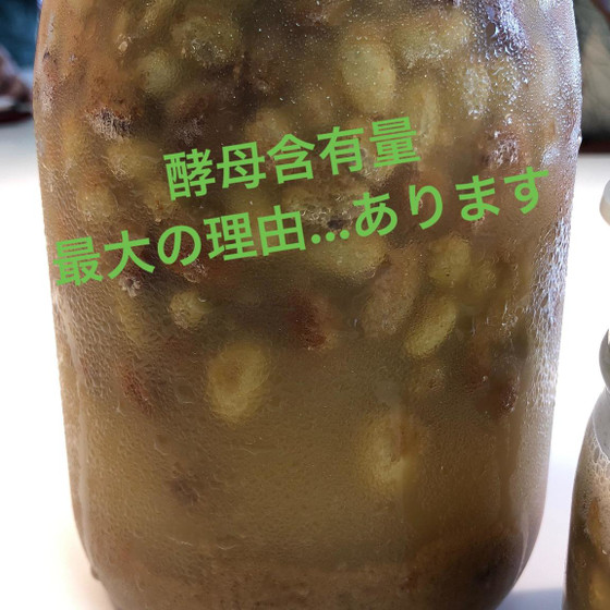 ●学ぶ「基礎酵母レッスン」夏酵母～酵母活性タイプ