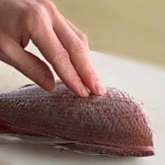 《魚のプロから　学ぶ魚の下ろし方》集中レッスン