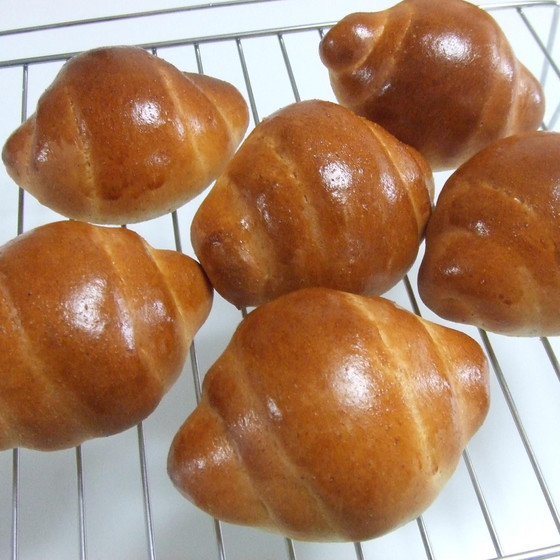 パンレッスン