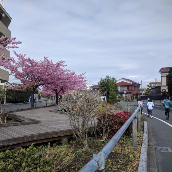 【RUN＆料理】おいしい台湾が口の中いっぱいに～♪